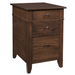 Craftsman 2-Drawer File Cabinet 2-Drawer File Cabinets Contemporary